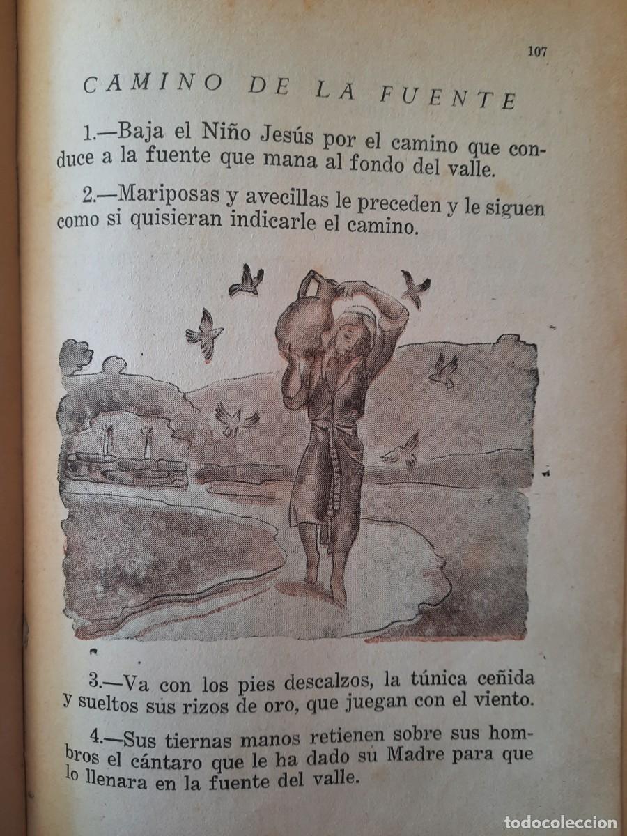 Libros de segunda mano: LIBRO. Semillas. Lecturas escolares. Primer grado. Textos EP - Foto 4