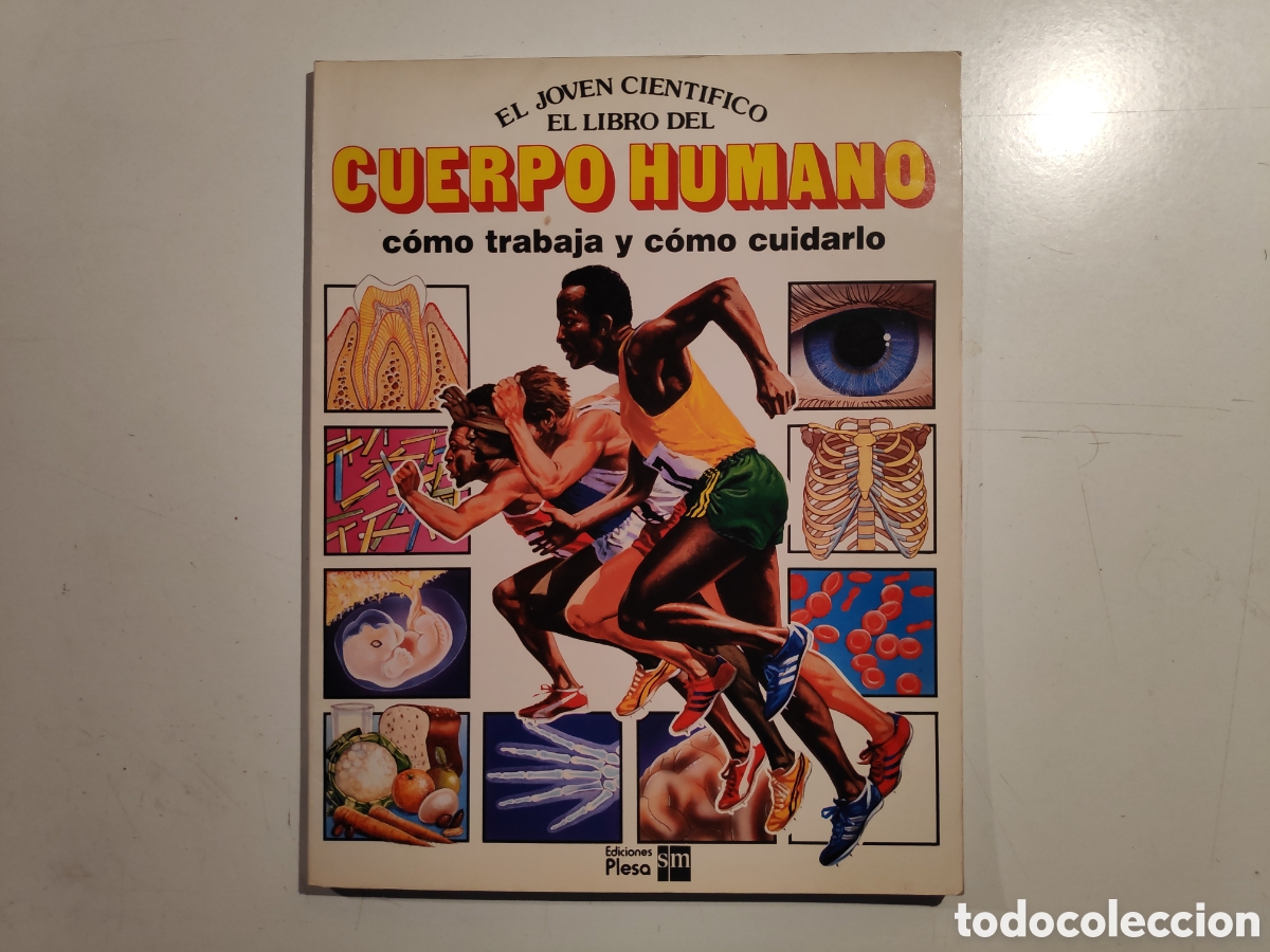 Libros de segunda mano: Libro. ElJoven Cientifico, Cuerpo Humano. Ediciones Plesa 1985 - Foto 1
