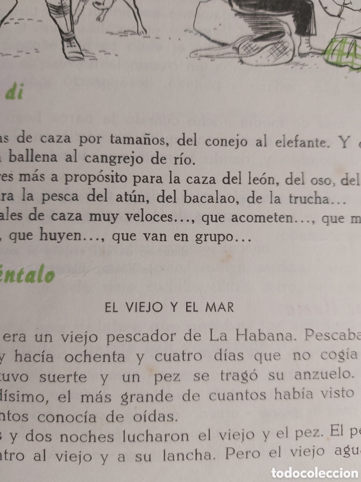 Libros de segunda mano: LENGUA ESPA&Ntilde;OLA GRADO ELEMENTAL 2 EDICIONES BRU&Ntilde;O 1962 - Foto 5