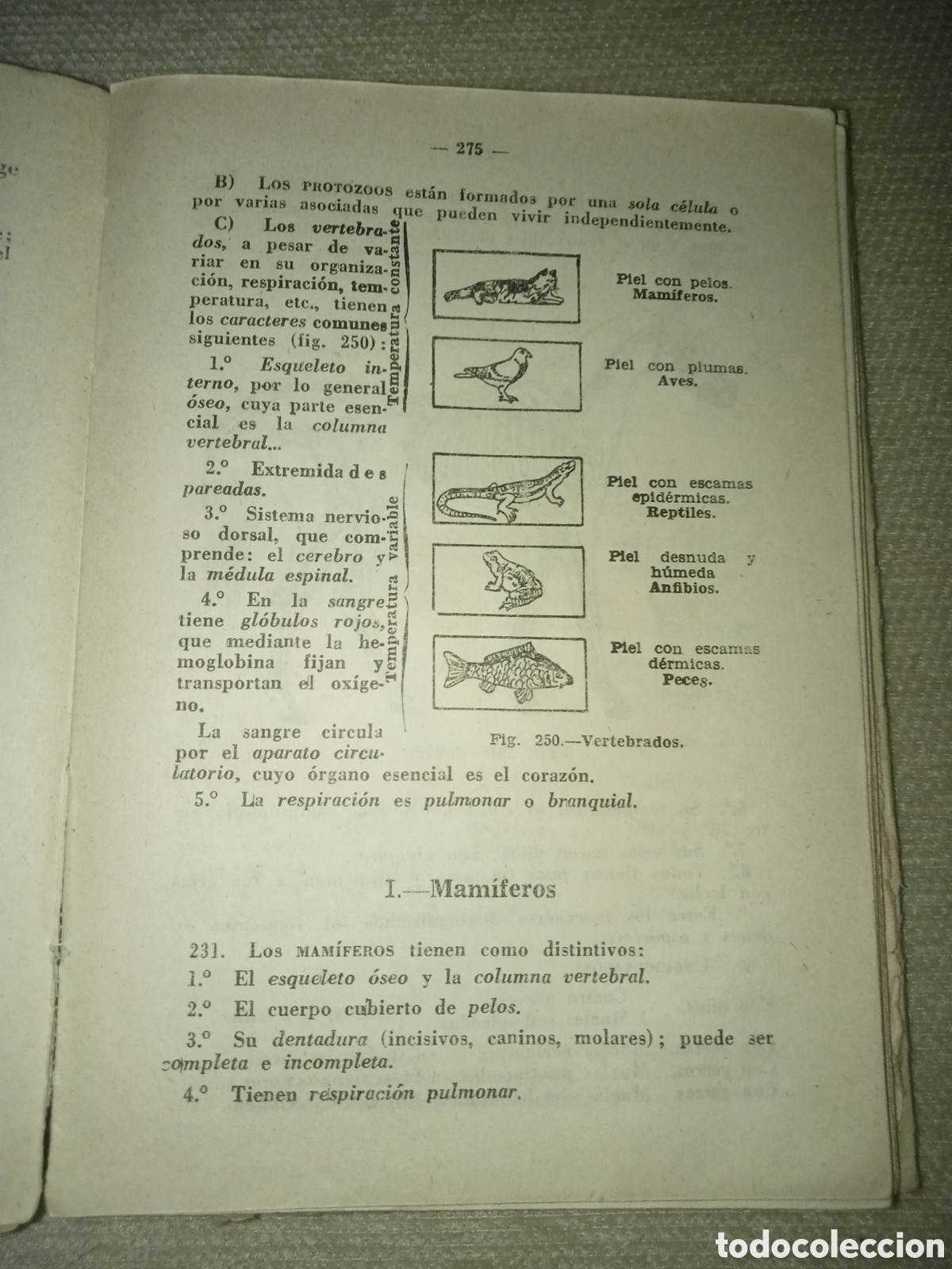 Libros de segunda mano: Ciencias f&iacute;sicas y naturales - Foto 11