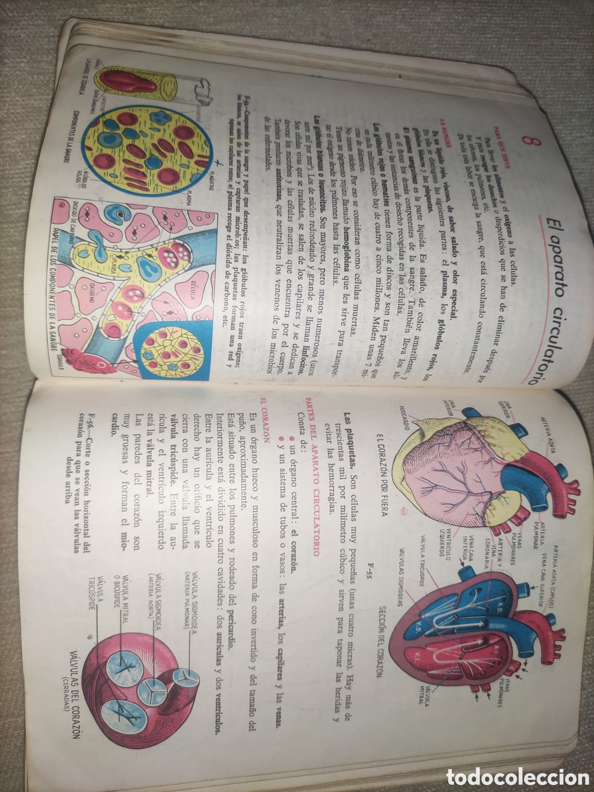 Libros de segunda mano: Ciencias Naturales... 3&deg;.. - Foto 5
