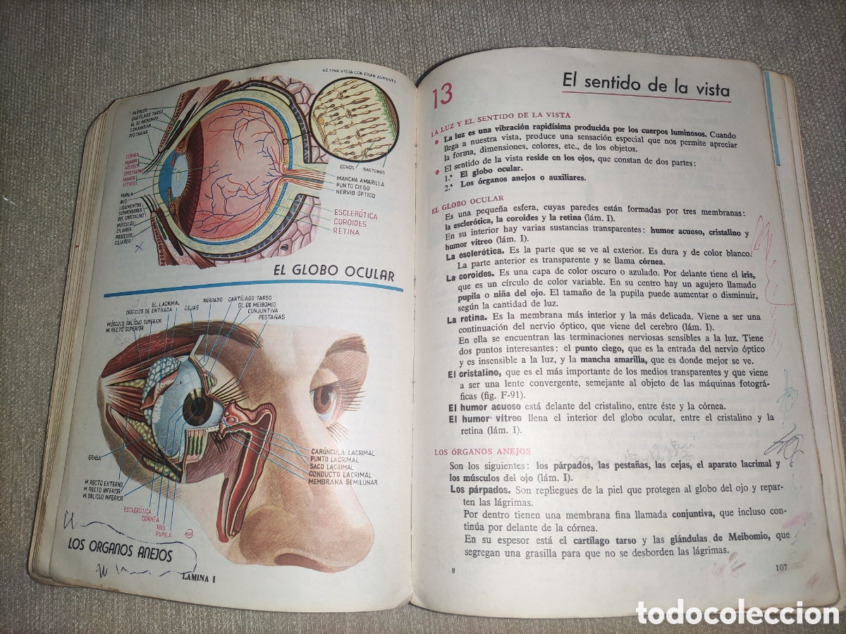 Libros de segunda mano: Ciencias Naturales... 3&deg;.. - Foto 6