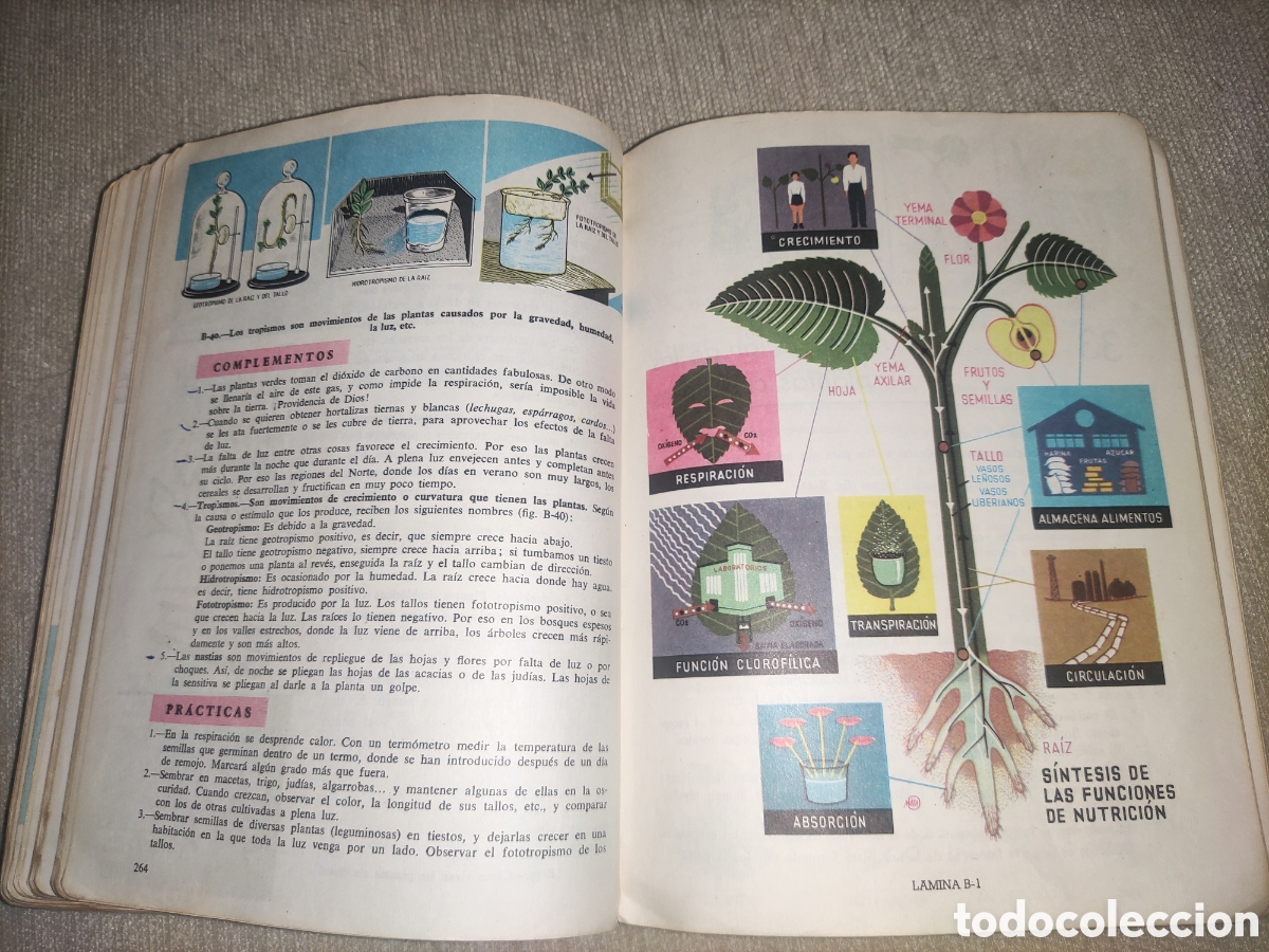 Libros de segunda mano: Ciencias Naturales... 3&deg;.. - Foto 9