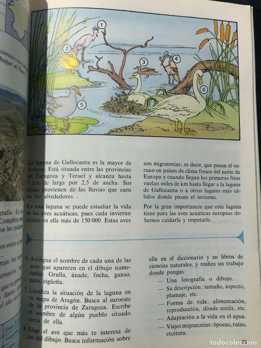 Libros de segunda mano: ARAG&Oacute;N - EXPERIENCIAS DID&Aacute;CTICAS - ED. ANAYA 1982 / LIBRO TEXTO - Foto 3