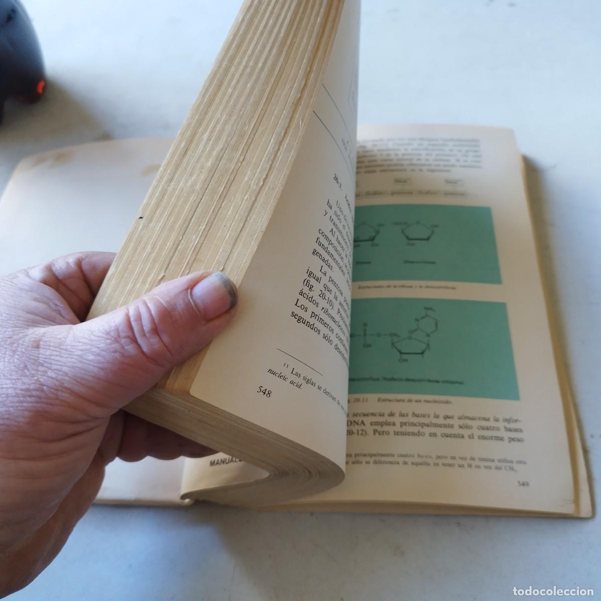 Libros de segunda mano: QUIMICA / VVAA / GRAVOL 51 / ANAYA - Foto 7