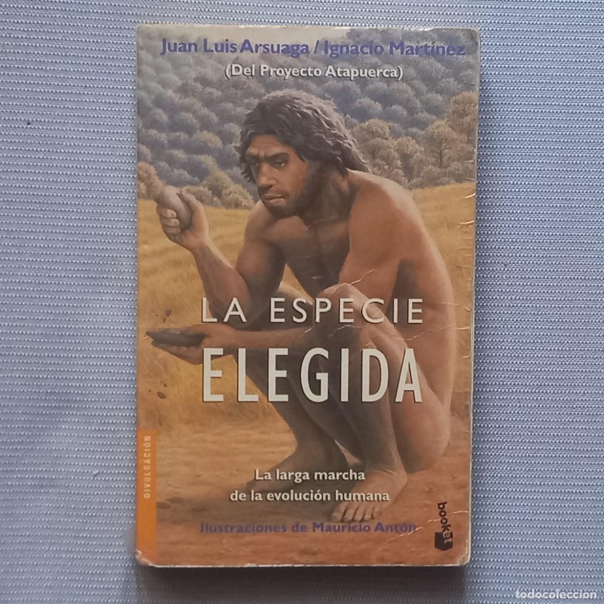 Libros de segunda mano: LA ESPECIE ELEGIDA - JUAN LUIS ARSUAGA / IGNACIO MART&Iacute;NEZ (PROYECTO ATAPUERCA) - Foto 1