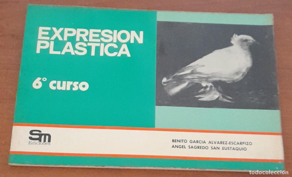 Libros de segunda mano: EXPRESI&Oacute;N PL&Aacute;STICA 6&ordm; CURSO, ED. S.M., 1976 - Foto 1