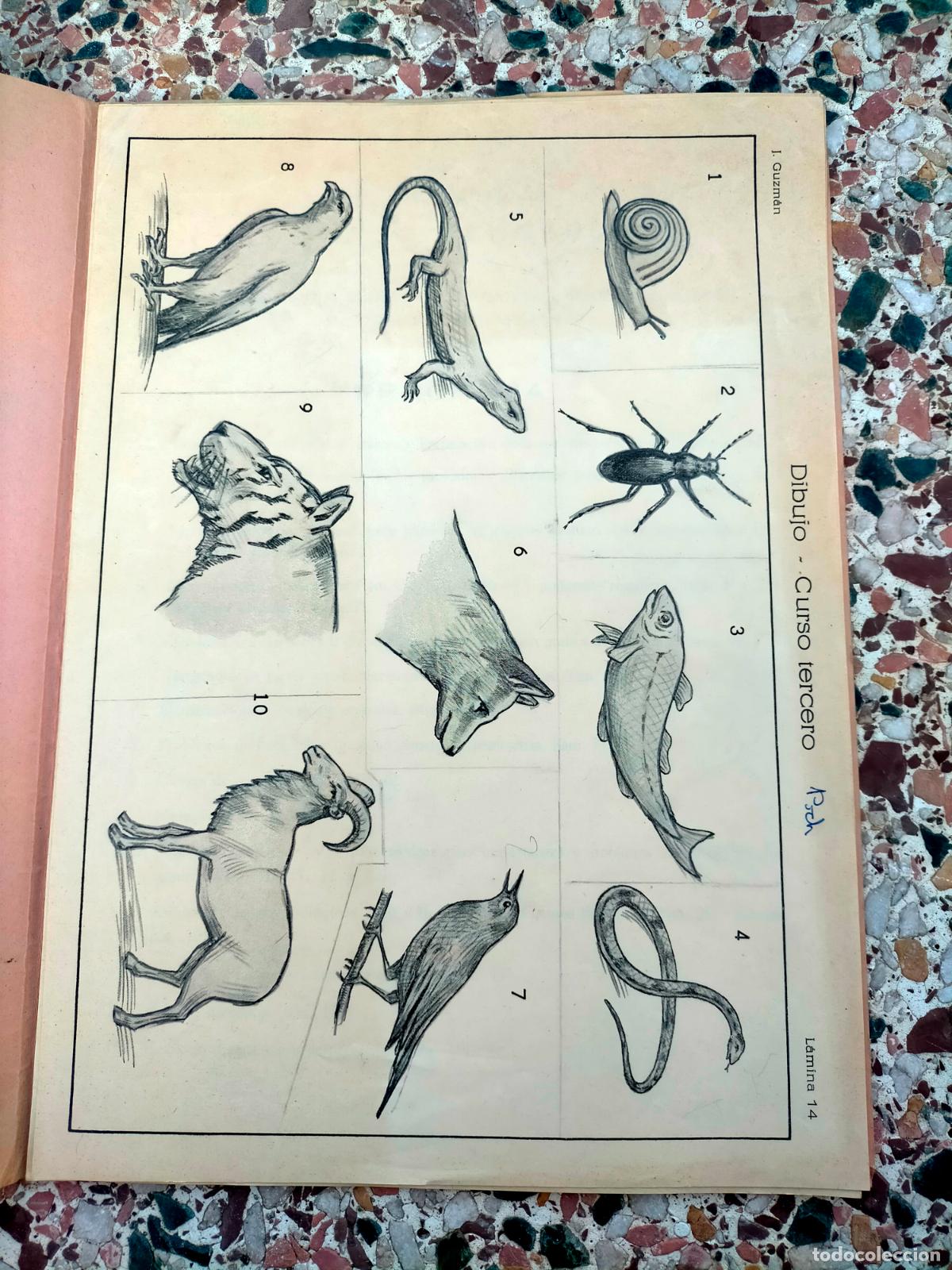 Libros de segunda mano: Programa de dibujo curso tercero J Guzman - Foto 2