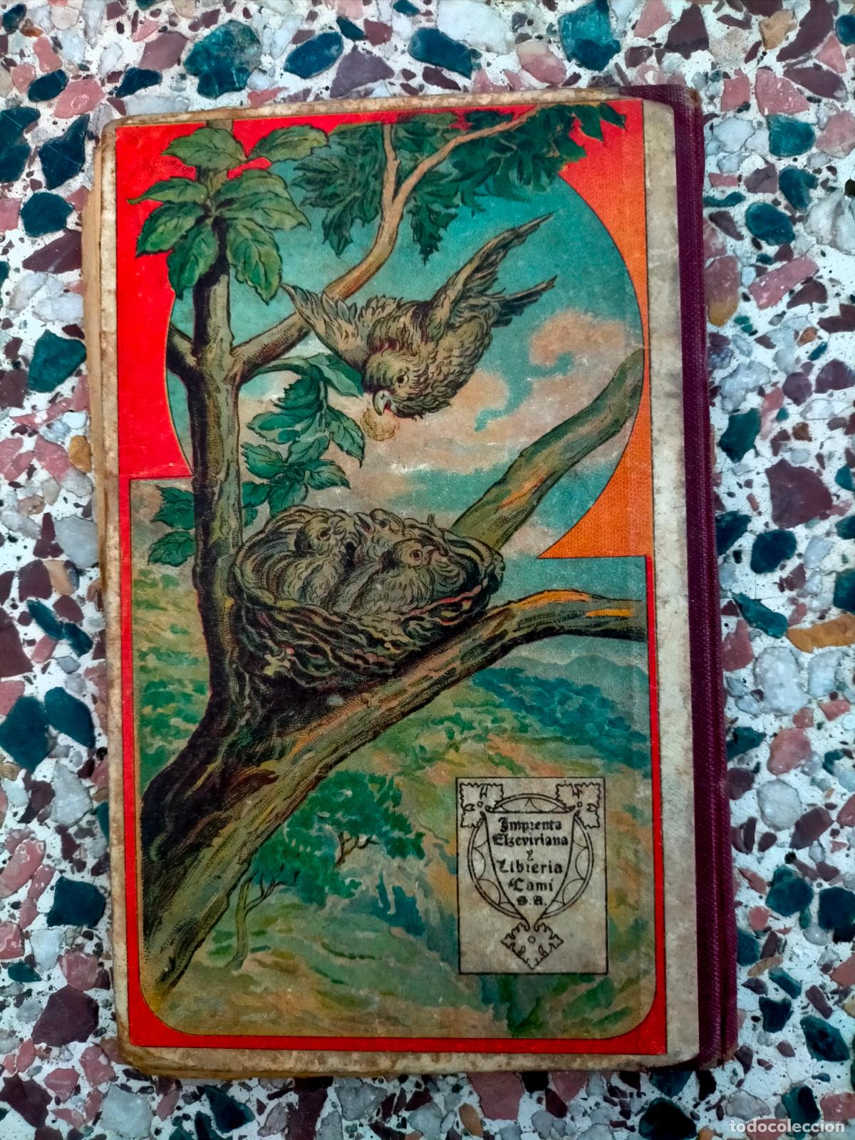 Libros de segunda mano: Gram&aacute;tica Paluzie libro infantil escolar antiguo - Foto 6