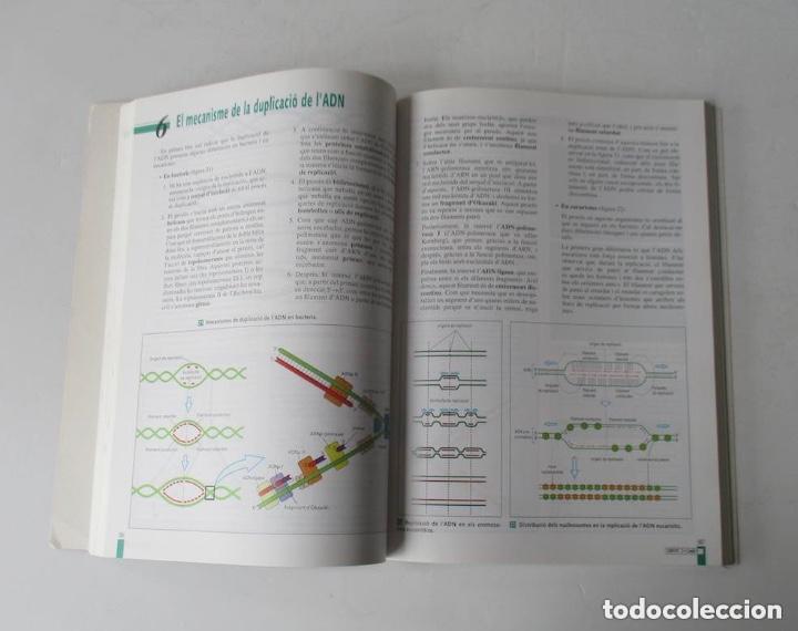 Libros de segunda mano: BIOLOGIA II - ED. SANTILLANA - Foto 3