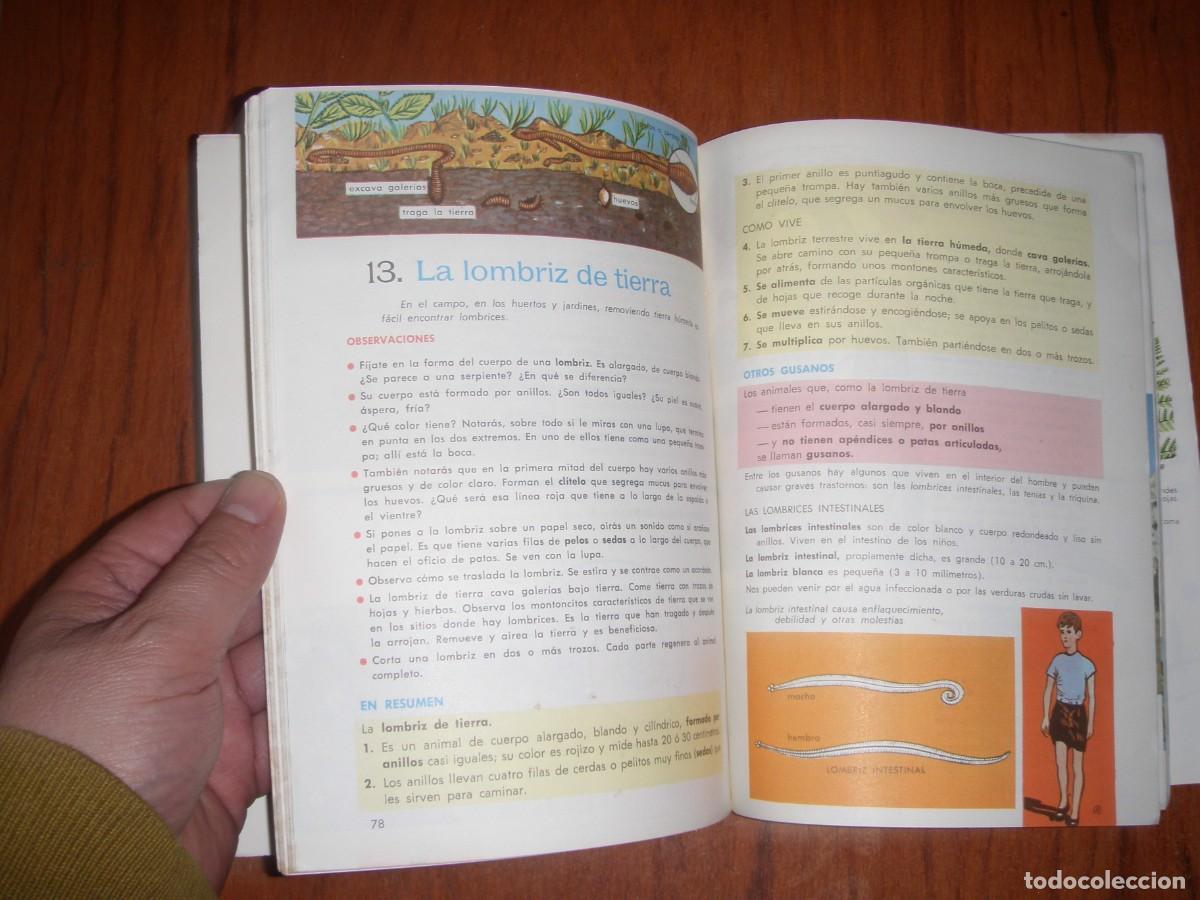 Libros de segunda mano: ANTIGUO LIBRO CIENCIAS NATURALES EDITORIAL SM - Foto 3