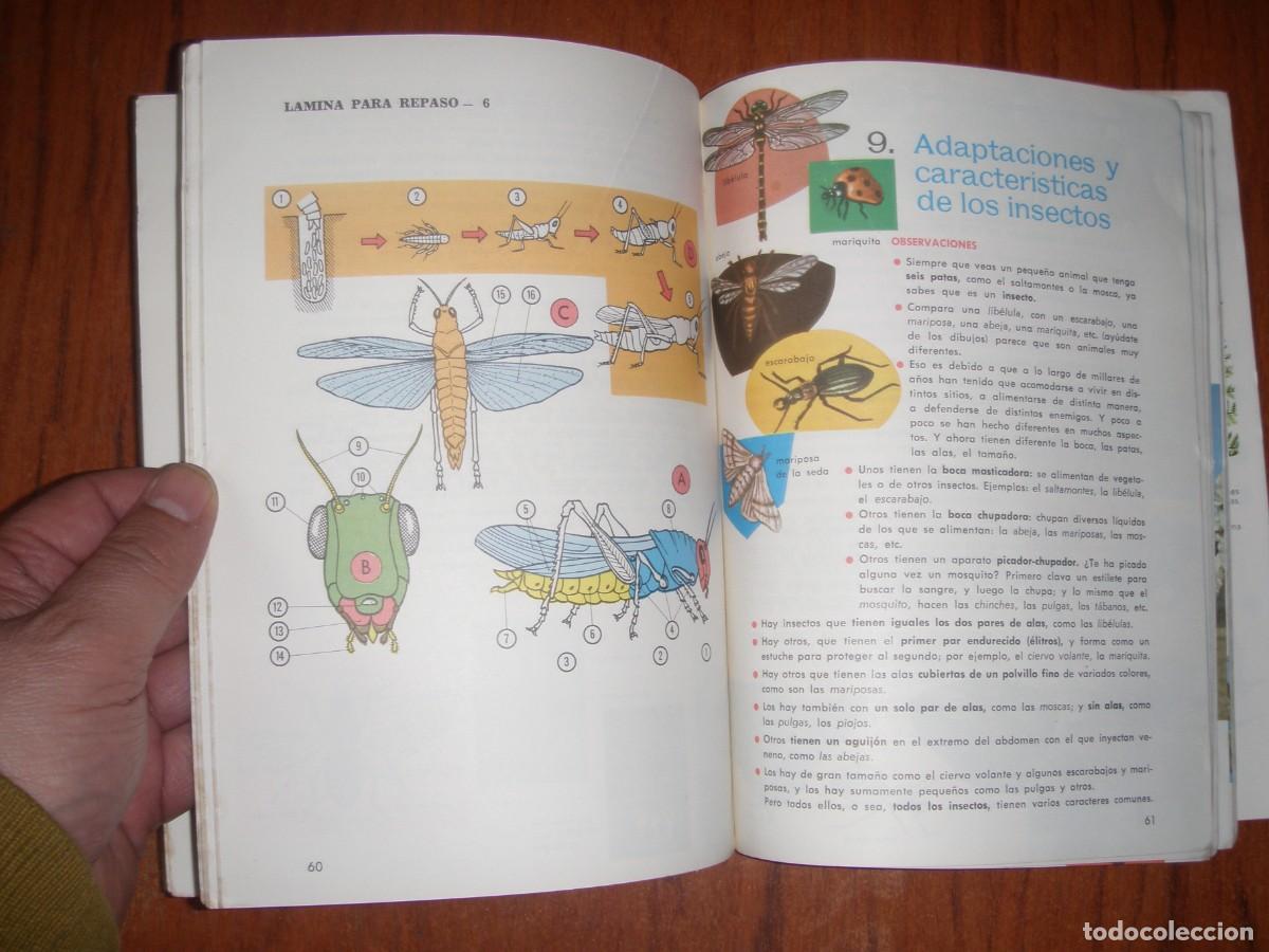 Libros de segunda mano: ANTIGUO LIBRO CIENCIAS NATURALES EDITORIAL SM - Foto 4