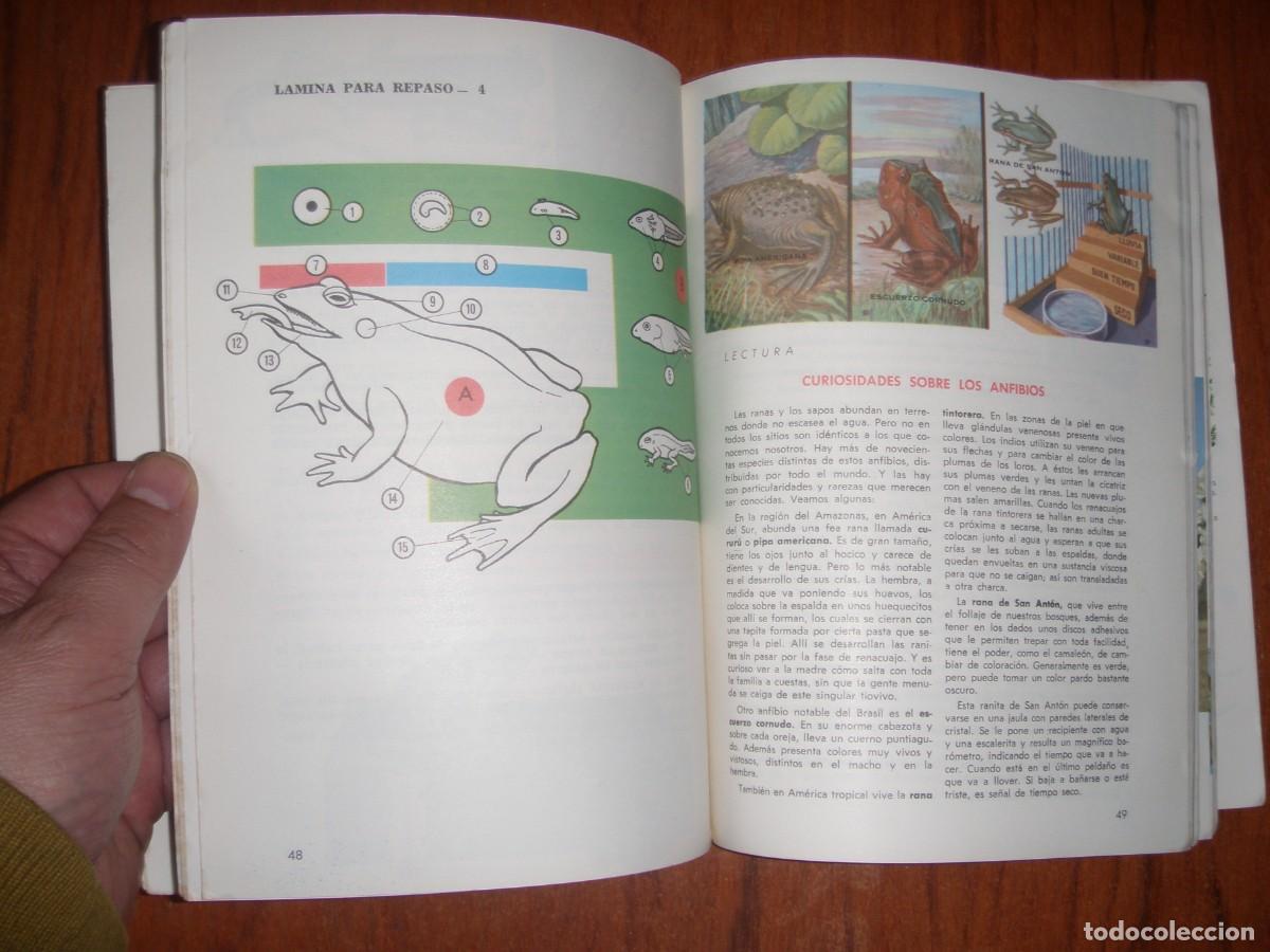 Libros de segunda mano: ANTIGUO LIBRO CIENCIAS NATURALES EDITORIAL SM - Foto 5