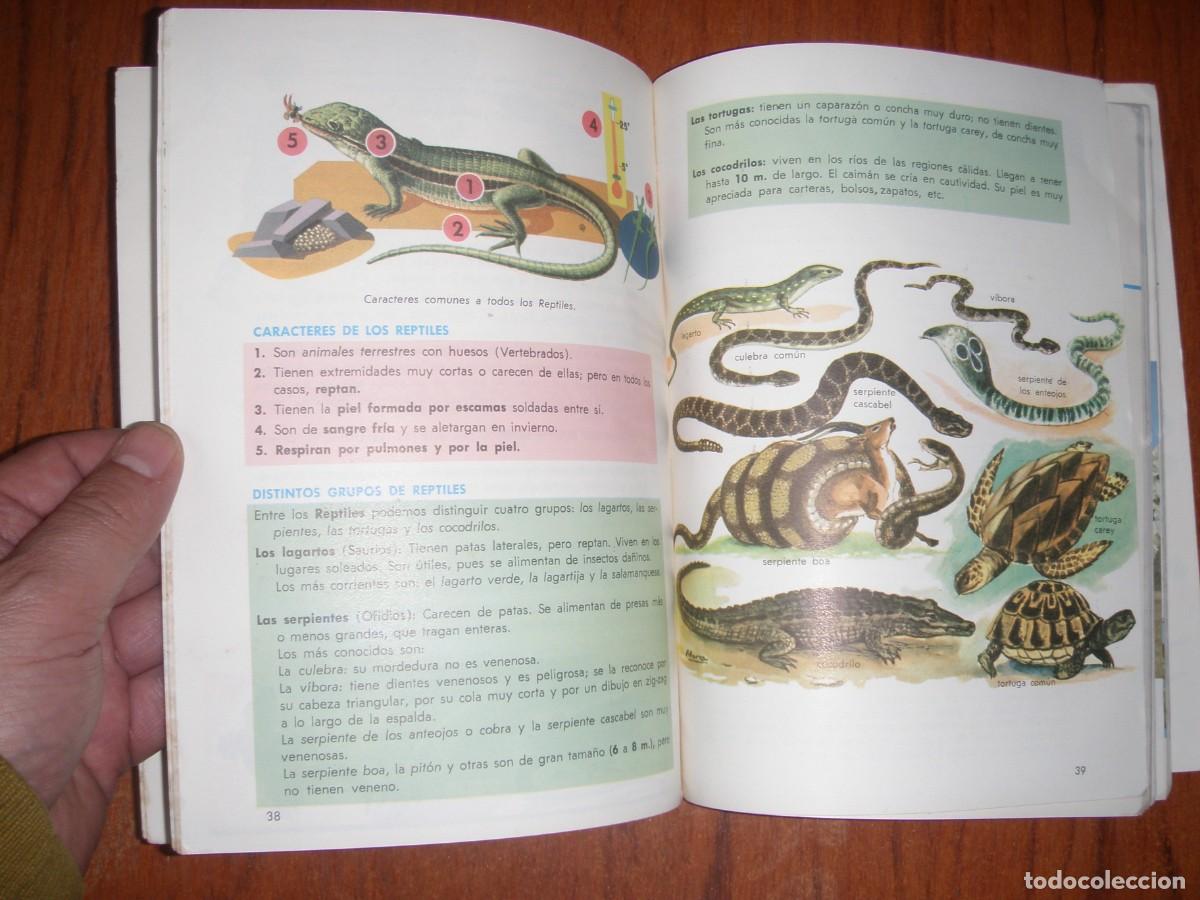 Libros de segunda mano: ANTIGUO LIBRO CIENCIAS NATURALES EDITORIAL SM - Foto 6