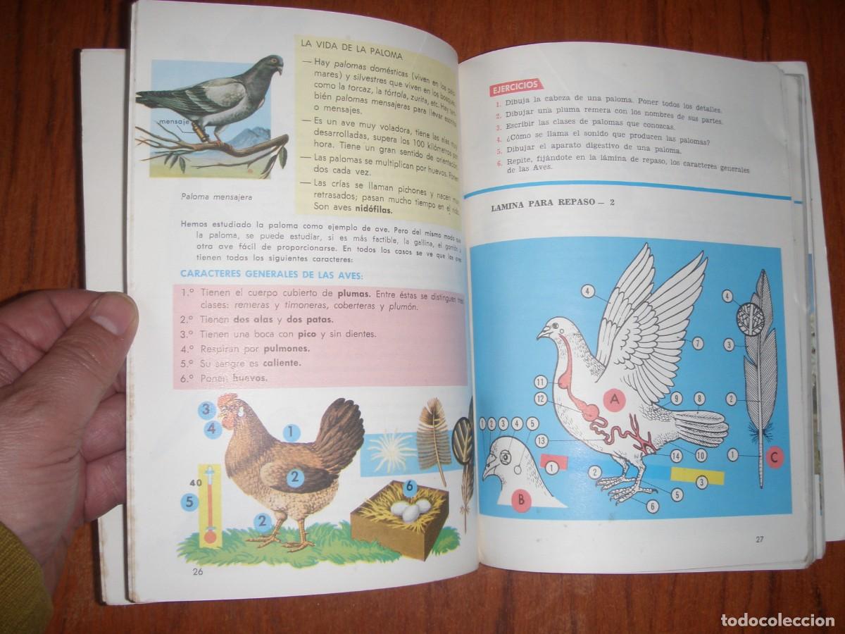 Libros de segunda mano: ANTIGUO LIBRO CIENCIAS NATURALES EDITORIAL SM - Foto 7