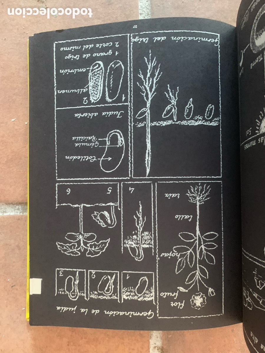 Libros de segunda mano: Libro. Diccionario de dibujos para copiar en el encerado. - Foto 3