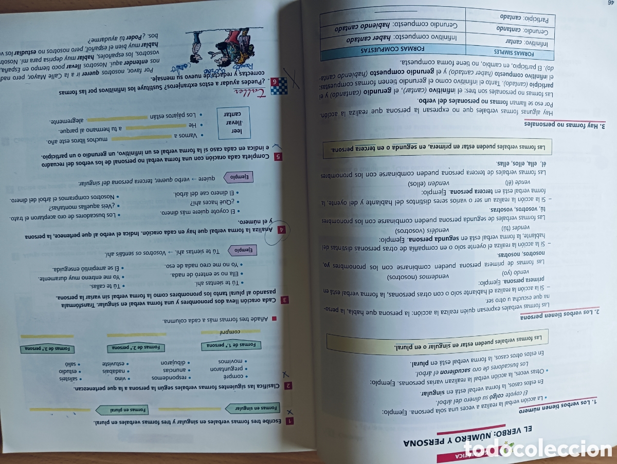 Libros de segunda mano: Lengua. 6 EGB, primaria, Santillana - Foto 4