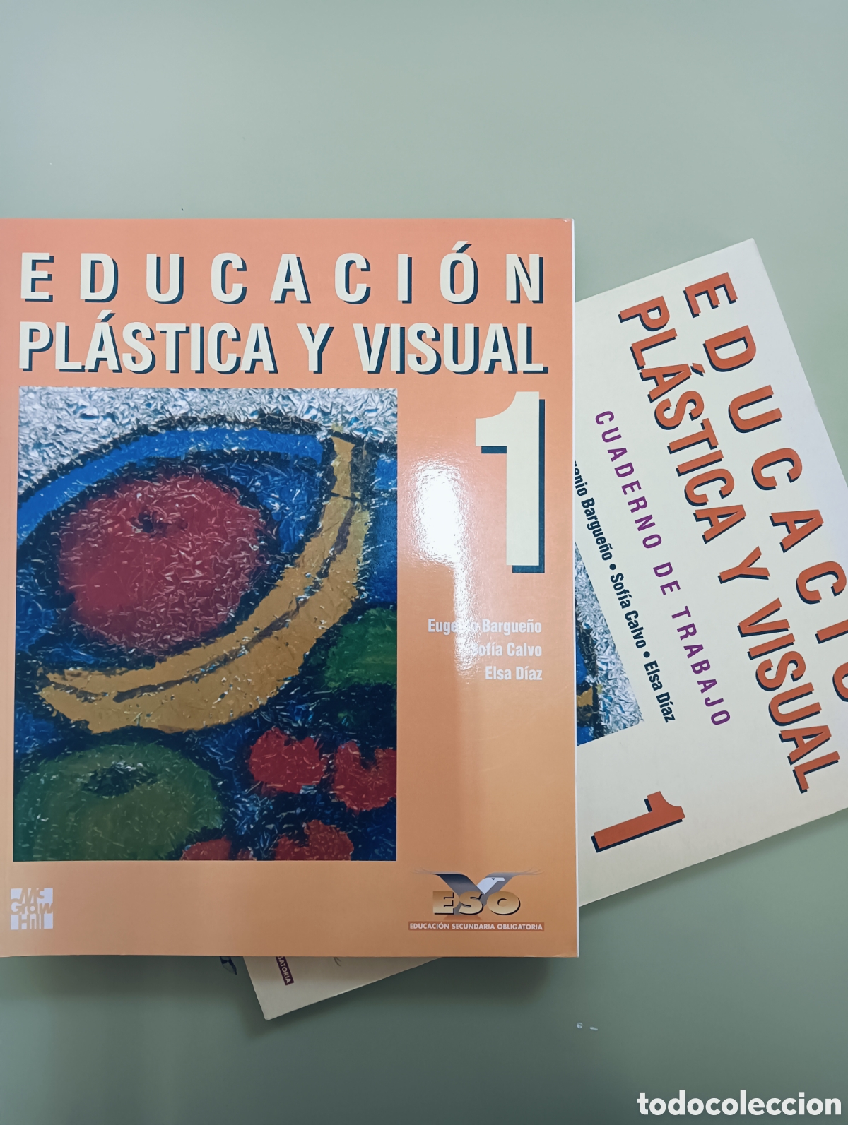 Libros de segunda mano: Educaci&oacute;n pl&aacute;stica y visual 1 ESO MC GRAW HILL - Foto 1