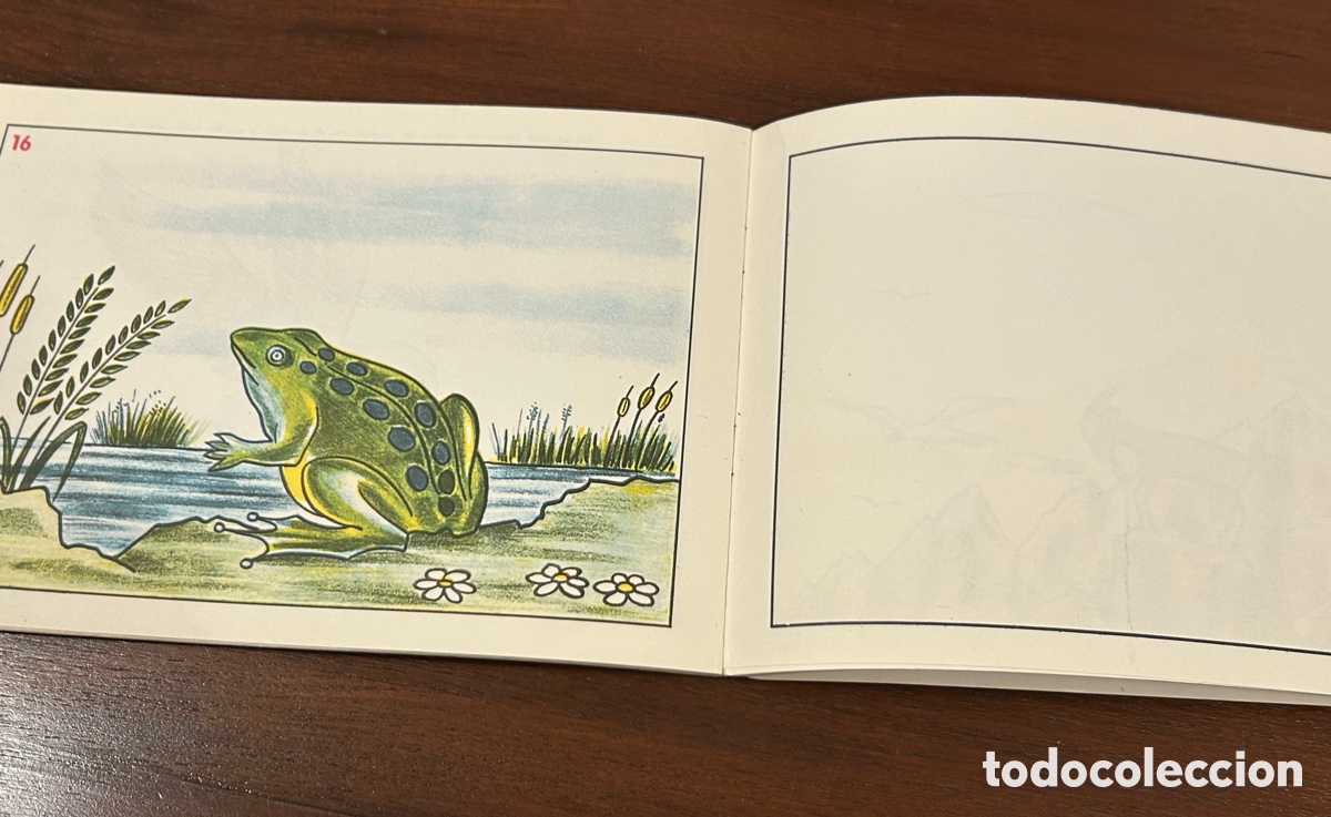 Libros de segunda mano: CUADERNO DE DIBUJO SM. A&Ntilde;O 1967 - Foto 12