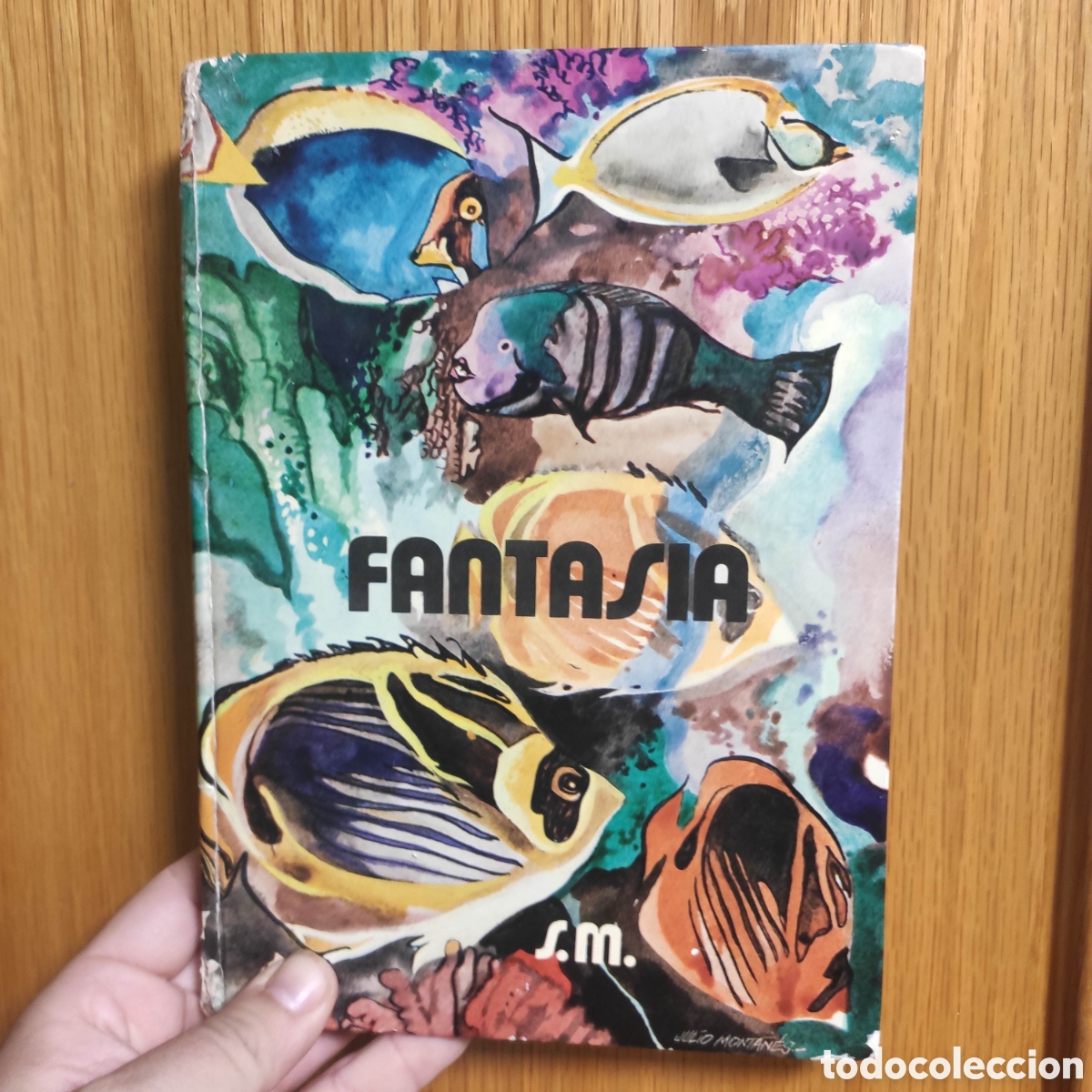 Libros de segunda mano: FANTASIA LECTURAS SM - Foto 1