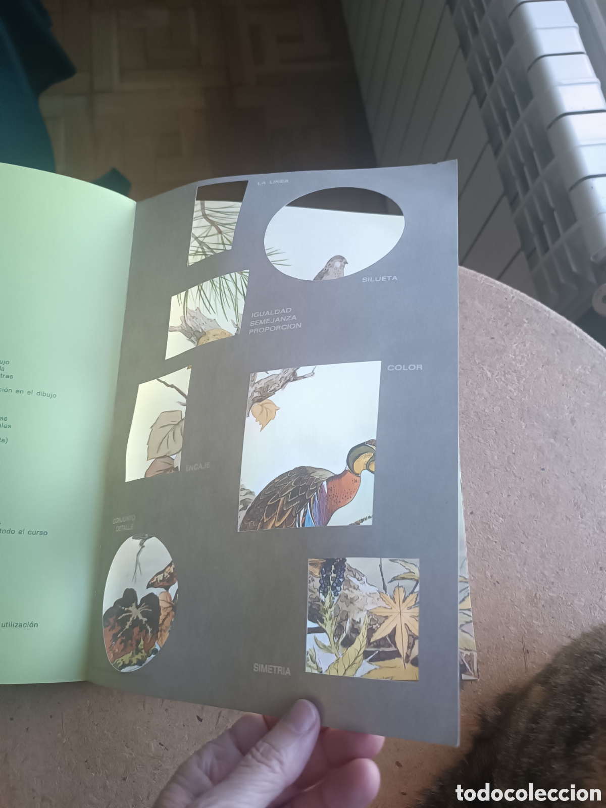 Libros de segunda mano: Colores y formas planas 1 Anaya - Foto 3