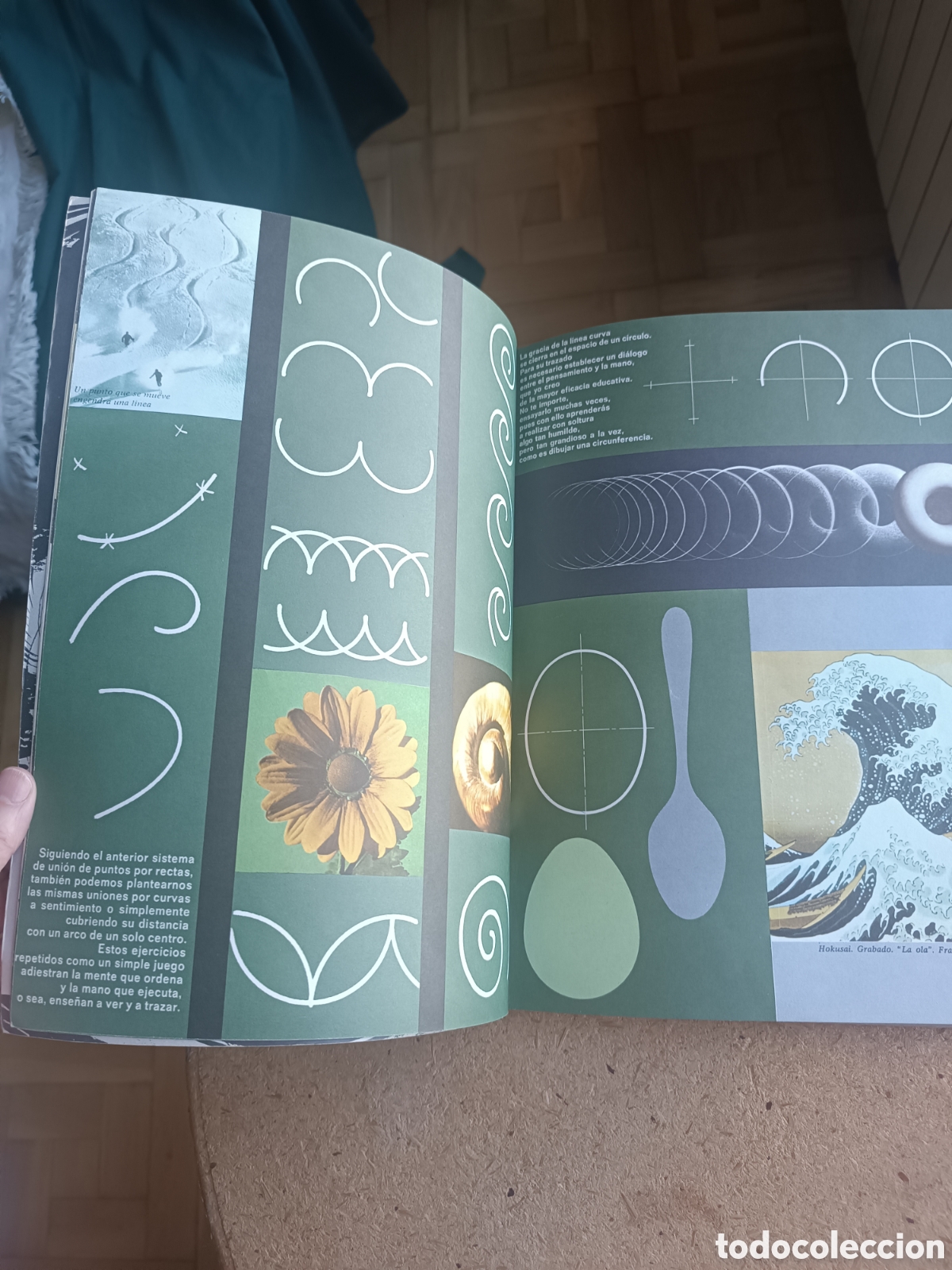 Libros de segunda mano: Colores y formas planas 1 Anaya - Foto 6