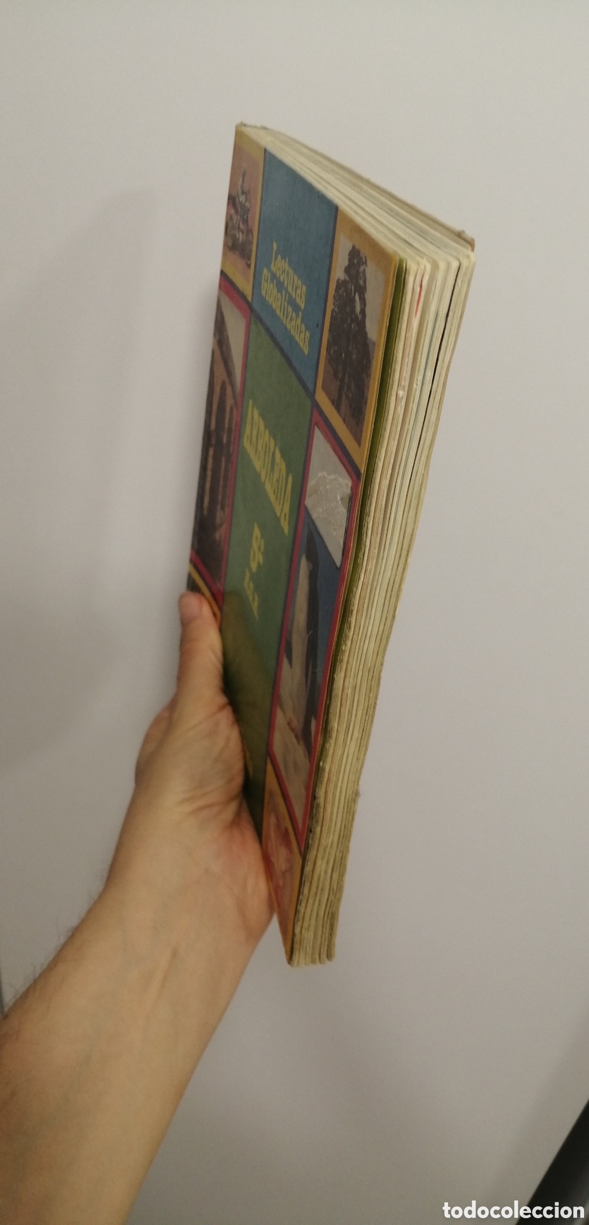 Libros de segunda mano: Arboleda 5 EGB Santillana Lecturas - Foto 3