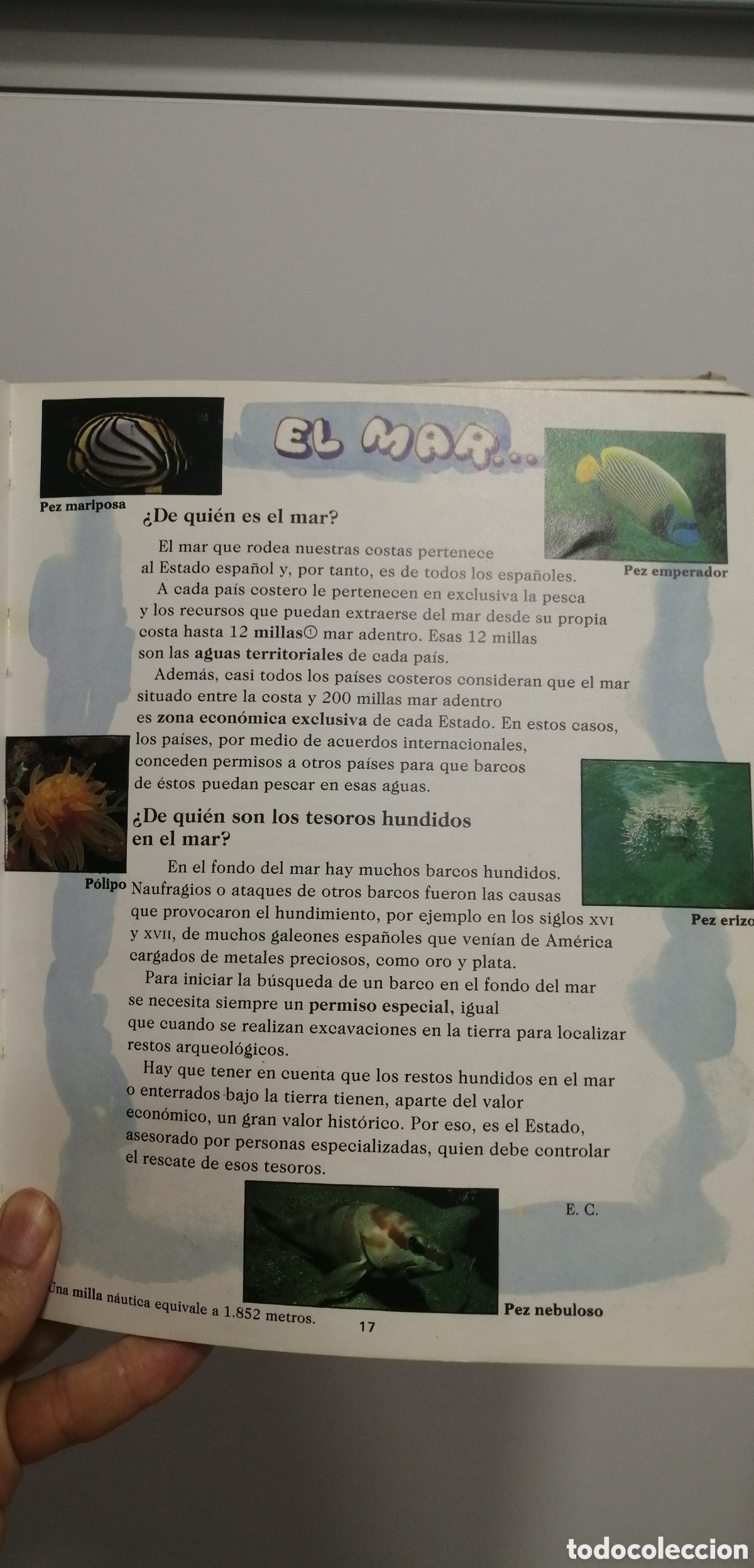 Libros de segunda mano: Arboleda 5 EGB Santillana Lecturas - Foto 13