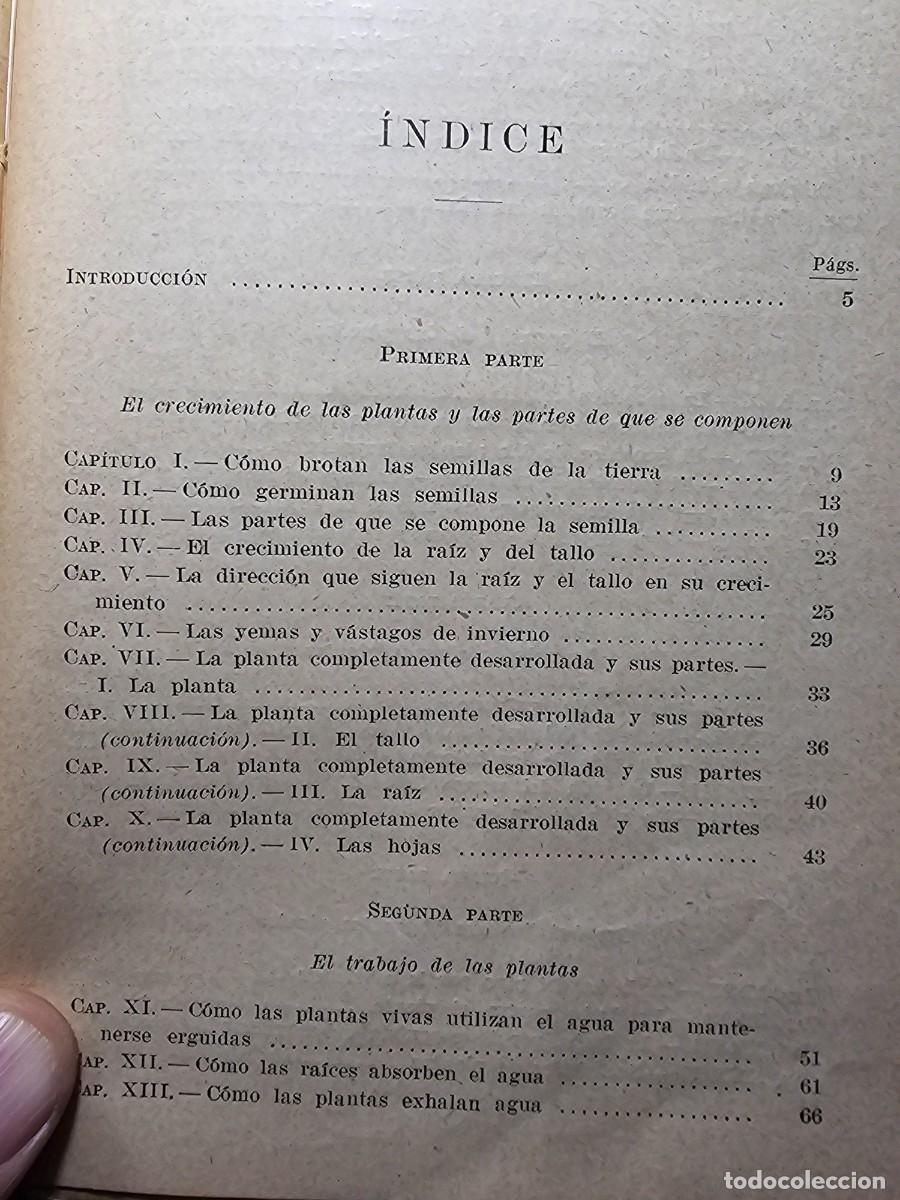 Libros de segunda mano: Antiguo libro texto estudio experimental vida de las plantas seix barral - Foto 7