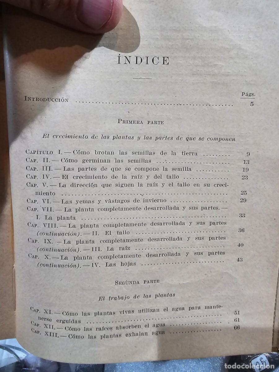 Libros de segunda mano: Antiguo libro texto estudio experimental vida de las plantas seix barral - Foto 9