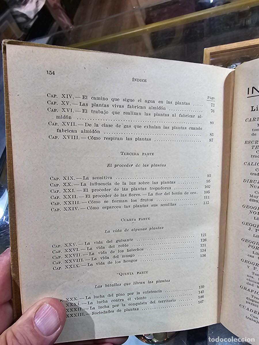 Libros de segunda mano: Antiguo libro texto estudio experimental vida de las plantas seix barral - Foto 10