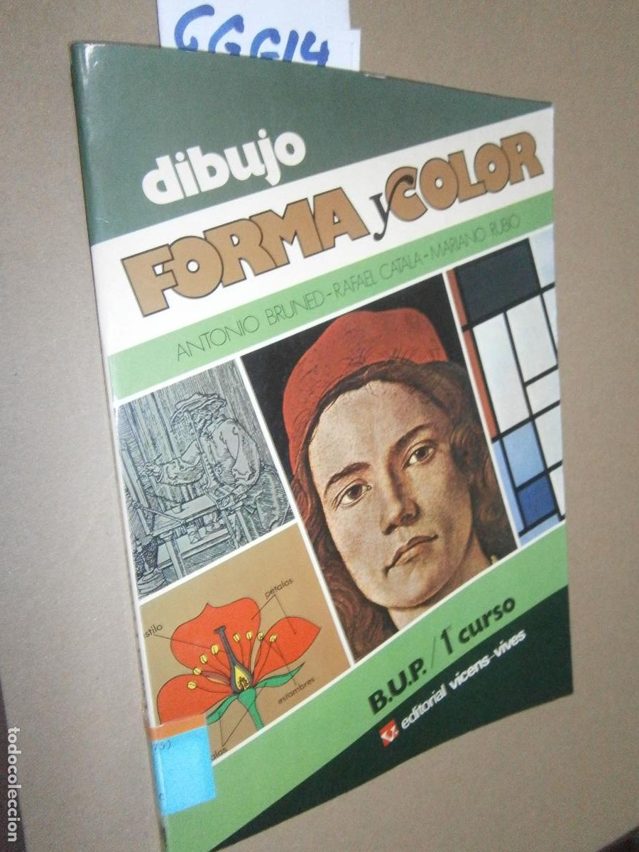 Libros de segunda mano: ANTIGUO LIBRO DE TEXTO - DIBUJO FORMA Y COLOR 1&ordm; BUP - Foto 1