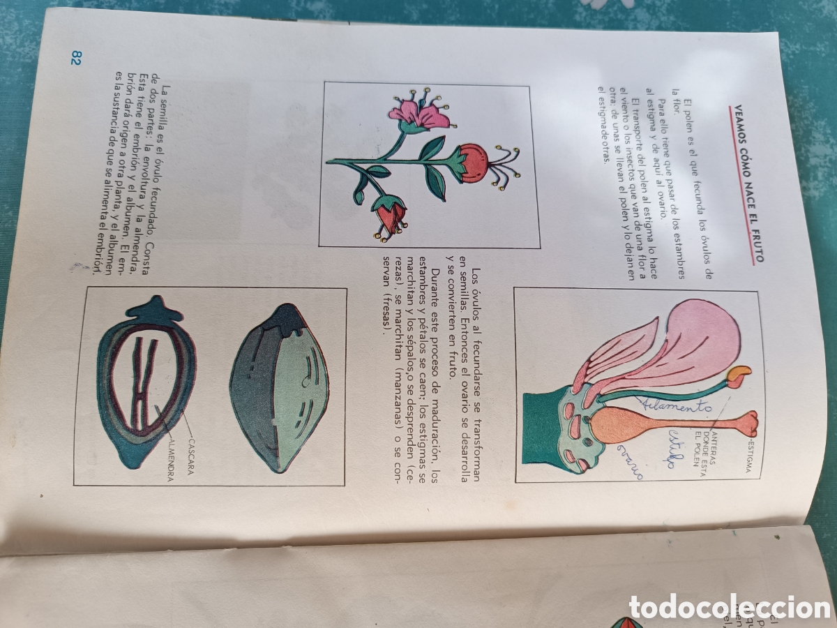 Libros de segunda mano: Unidades did&aacute;cticas libro cuatro, Edelvives, 1968 - Foto 7