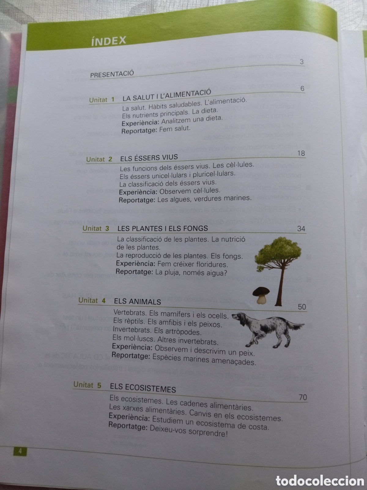 Libros de segunda mano: Coneixement del Medi. Medi Natural. 5&egrave; - Foto 2