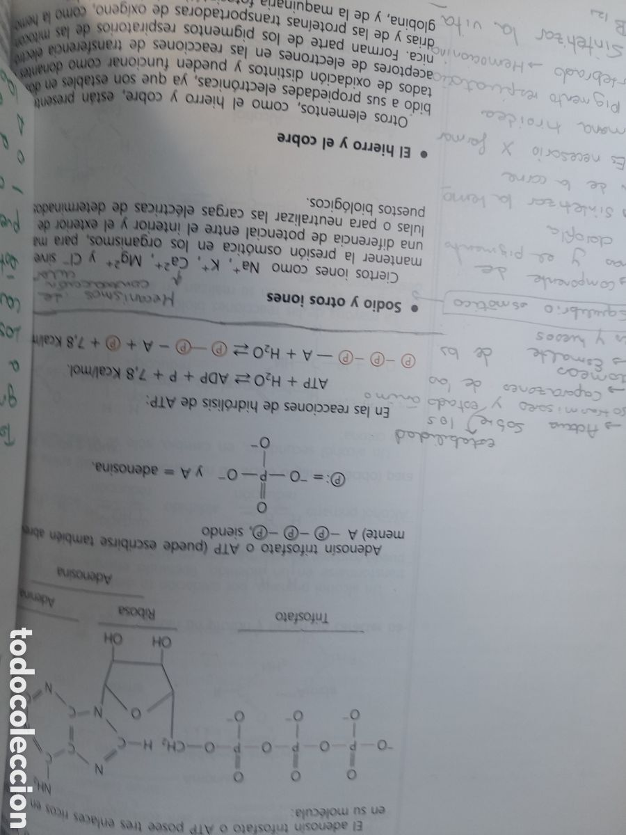 Libros de segunda mano: Ciencias naturales, 3 de BUP de 1986 de SM - Foto 8