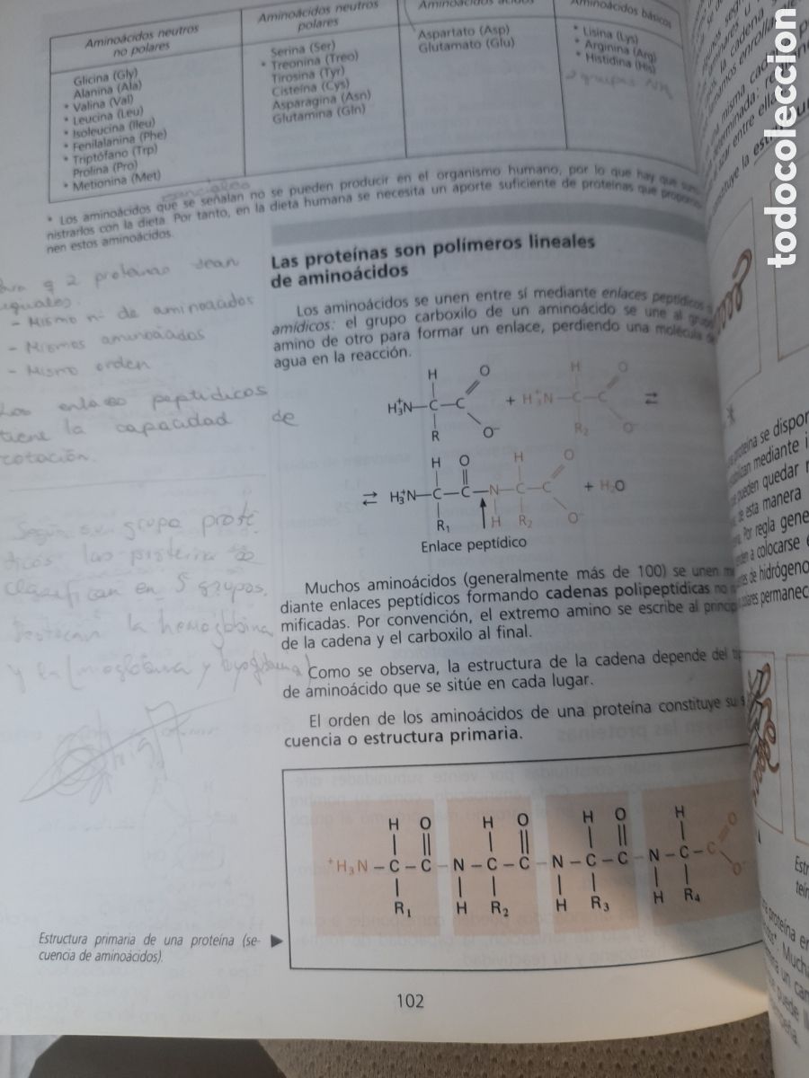 Libros de segunda mano: Ciencias naturales, 3 de BUP de 1986 de SM - Foto 9