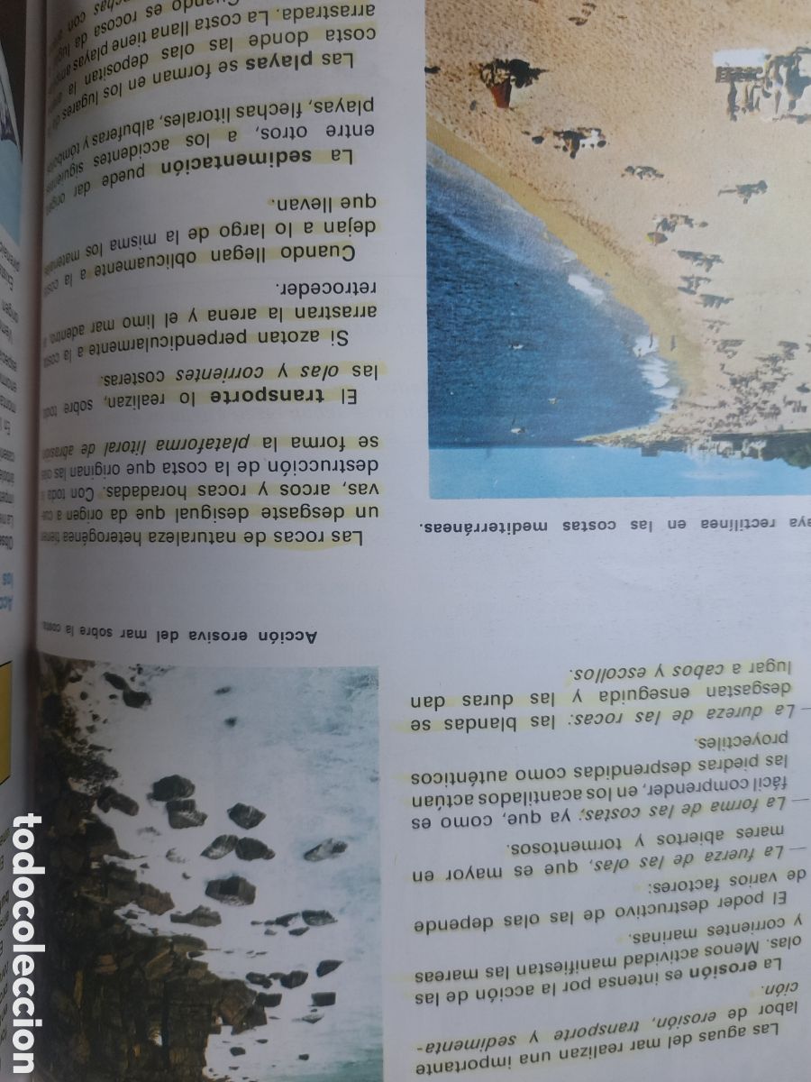 Libros de segunda mano: Ciencias de la Naturaleza 8 de SM edici&oacute;n de 1994 - Foto 6