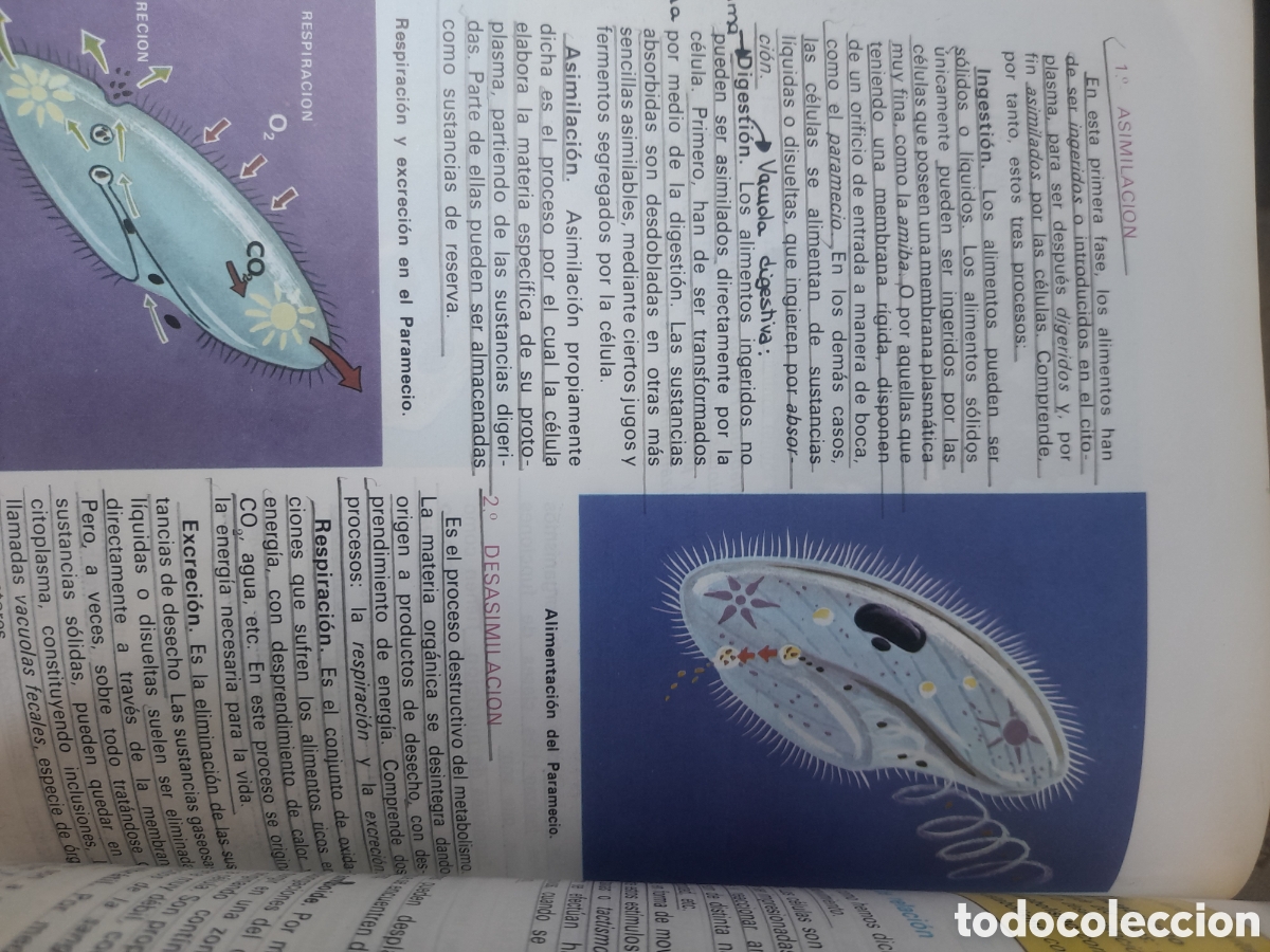 Libros de segunda mano: Ciencias de la Naturaleza 8 de SM edici&oacute;n de 1994 - Foto 7