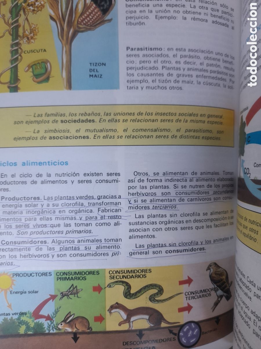 Libros de segunda mano: Ciencias de la Naturaleza 8 de SM edici&oacute;n de 1994 - Foto 8