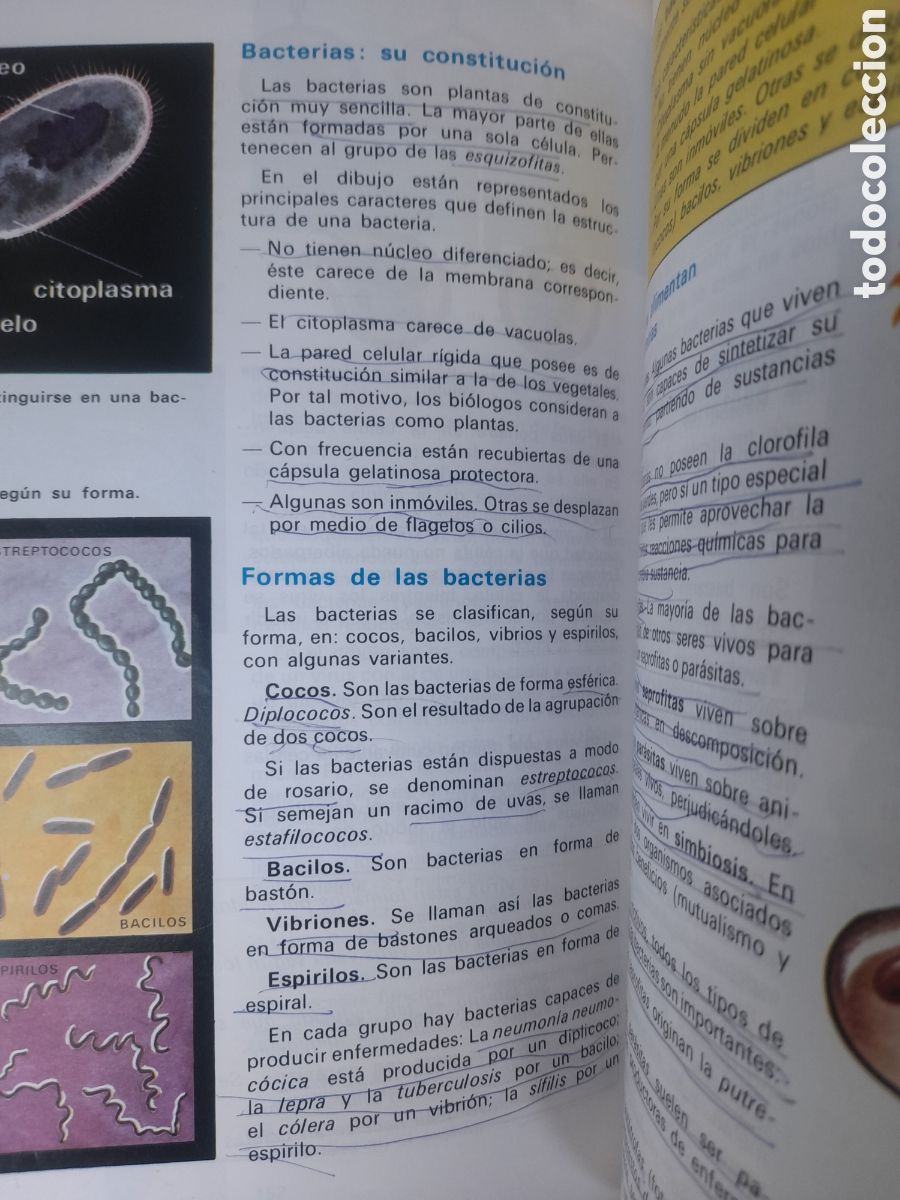 Libros de segunda mano: Ciencias de la Naturaleza 8 de SM edici&oacute;n de 1994 - Foto 9