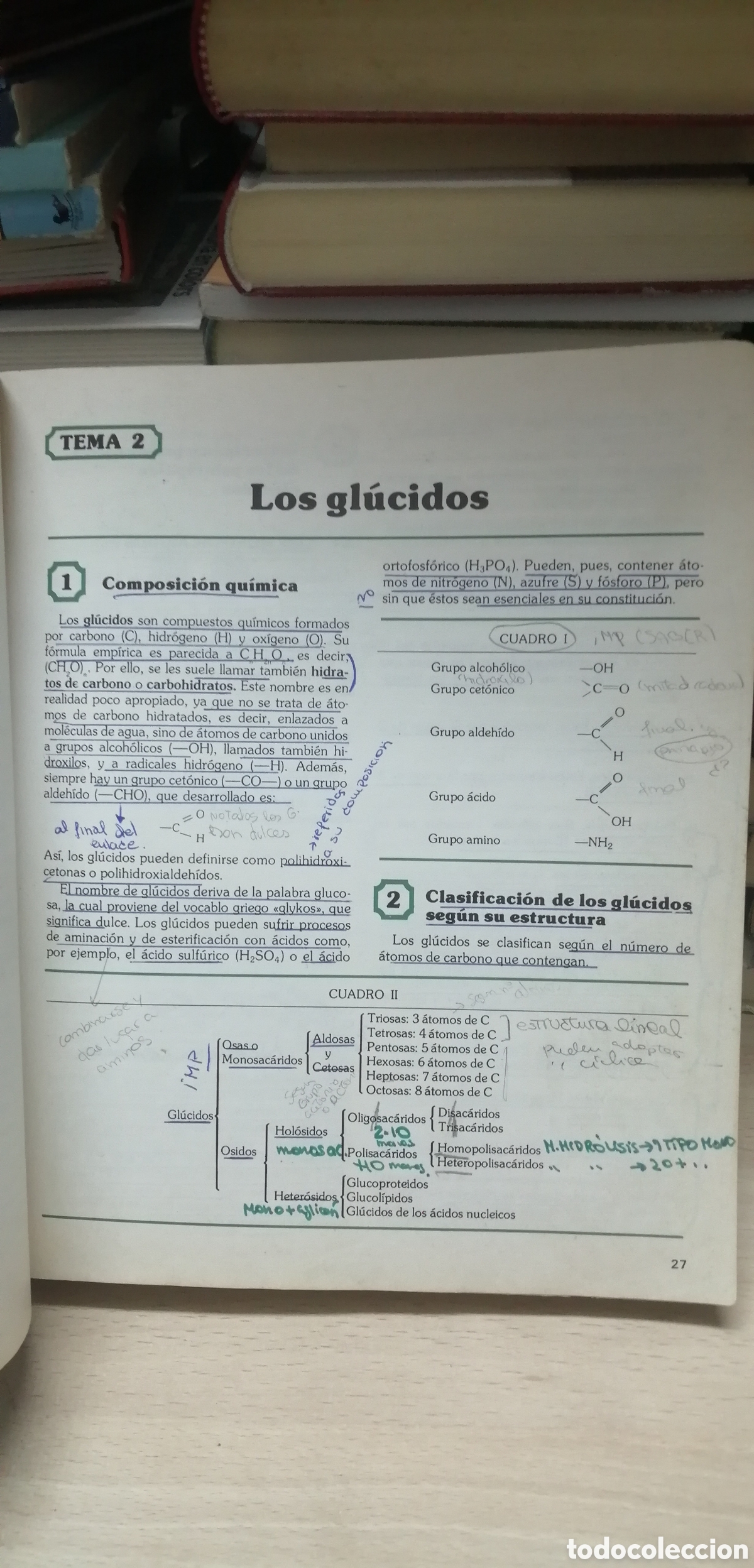 Libros de segunda mano: Biolog&iacute;a COU Santillana 1983 EGB - Foto 12