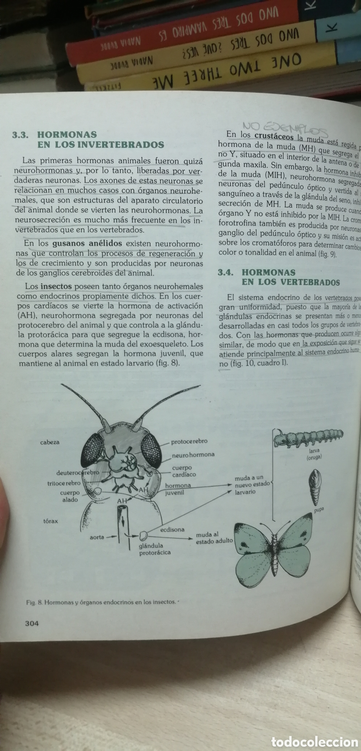Libros de segunda mano: Biolog&iacute;a COU Santillana 1983 EGB - Foto 18