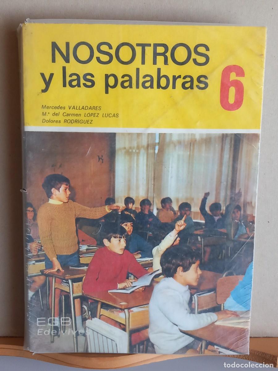 Libros de segunda mano: NOSOTROS Y LAS PALABRAS. 6&deg; EGB. Ed Luis Vives - Foto 1