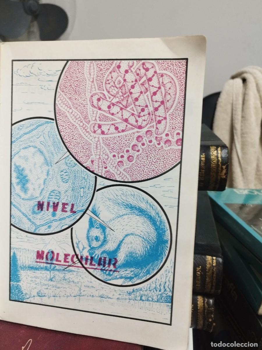 Libros de segunda mano: BIOLOG&Iacute;A COU 78 - EDITORIAL BRU&Ntilde;O - Foto 3