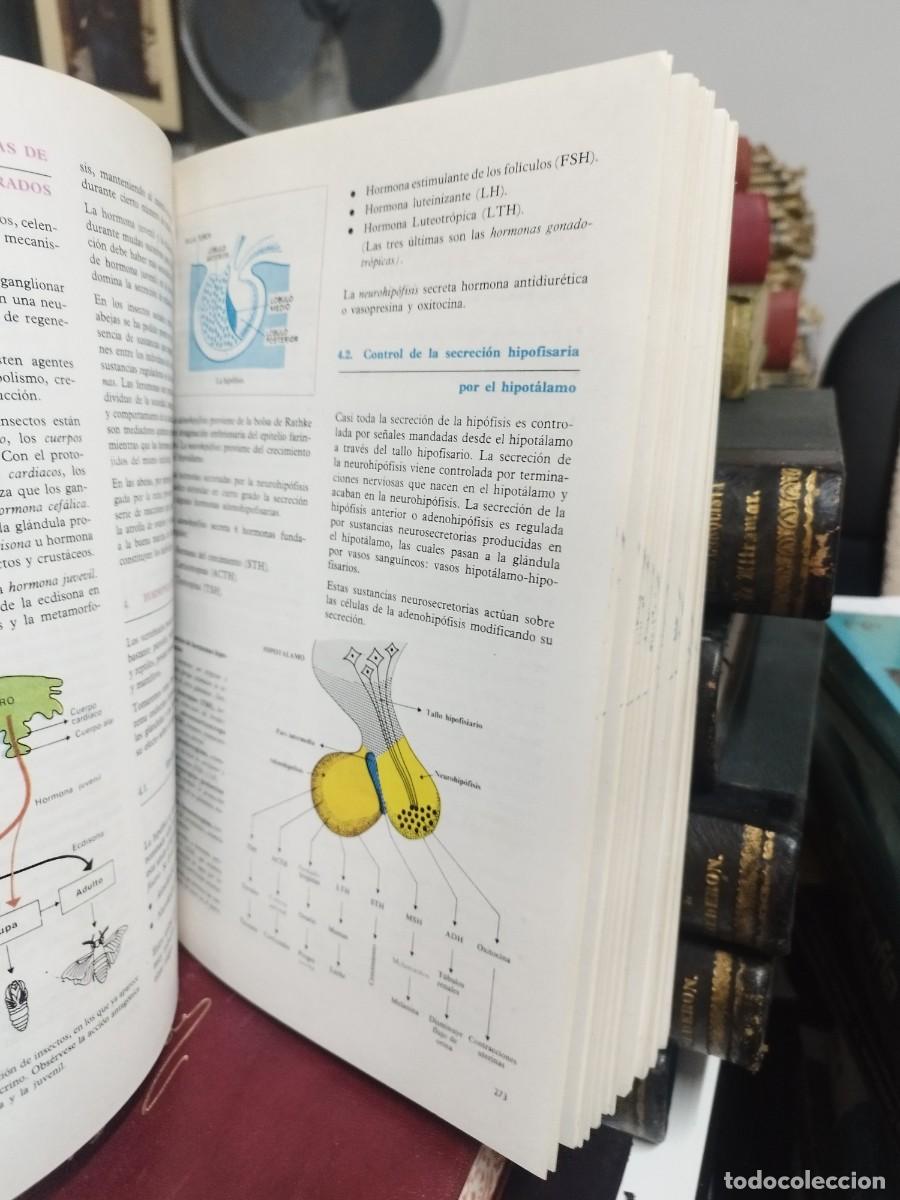 Libros de segunda mano: BIOLOG&Iacute;A COU 78 - EDITORIAL BRU&Ntilde;O - Foto 7