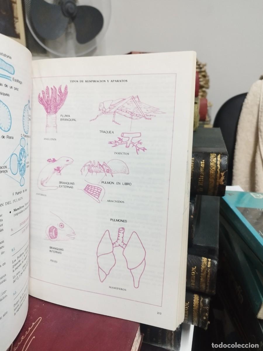 Libros de segunda mano: BIOLOG&Iacute;A COU 78 - EDITORIAL BRU&Ntilde;O - Foto 9