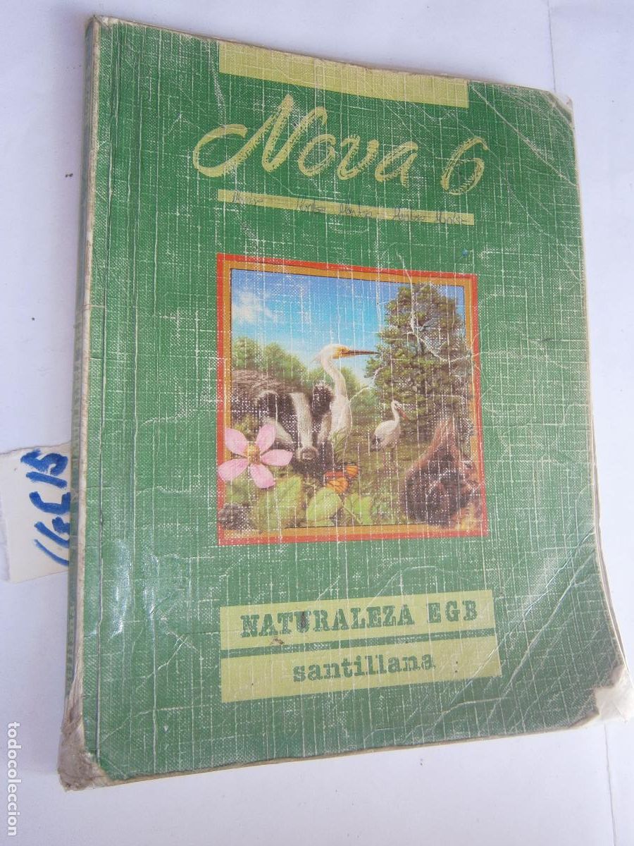 Libros de segunda mano: ANTIGUO LIBRO DE TEXTO - NATURALEZA 6&ordm; EGB - Foto 1