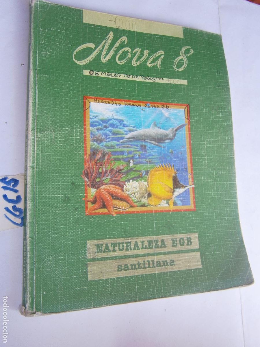 Libros de segunda mano: ANTIGUO LIBRO DE TEXTO - NATURALEZA 8&ordm; EGB - Foto 1