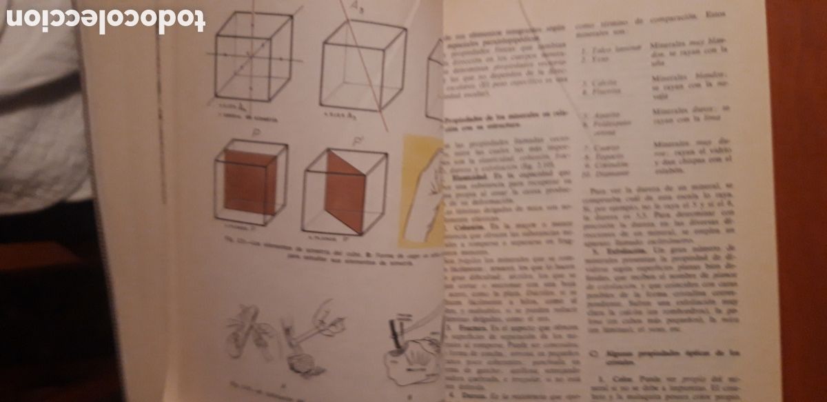 Libros de segunda mano: CIENCIAS NATURALES 1 BUP ECIR 1976 - Foto 10