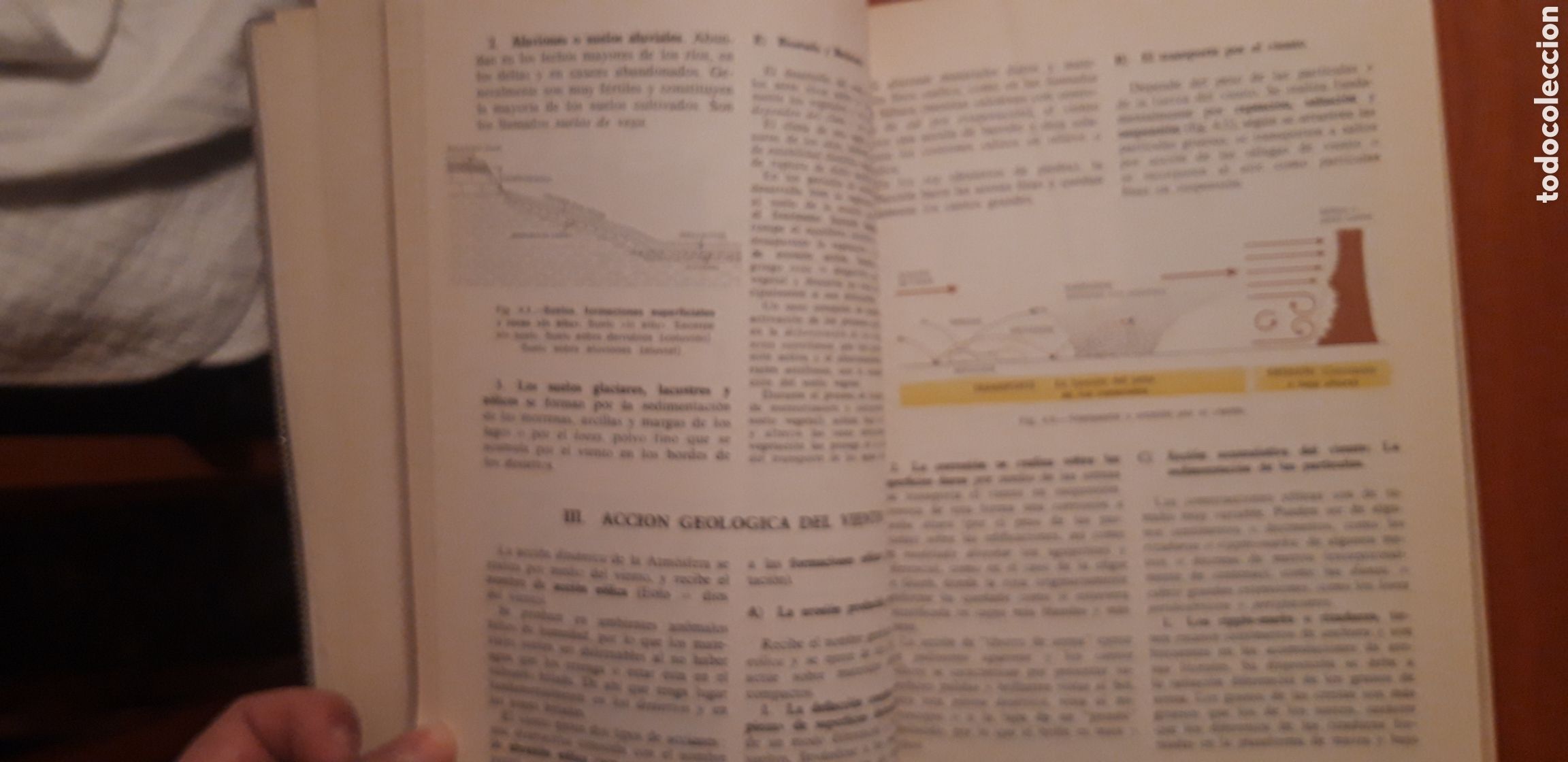 Libros de segunda mano: CIENCIAS NATURALES 1 BUP ECIR 1976 - Foto 13
